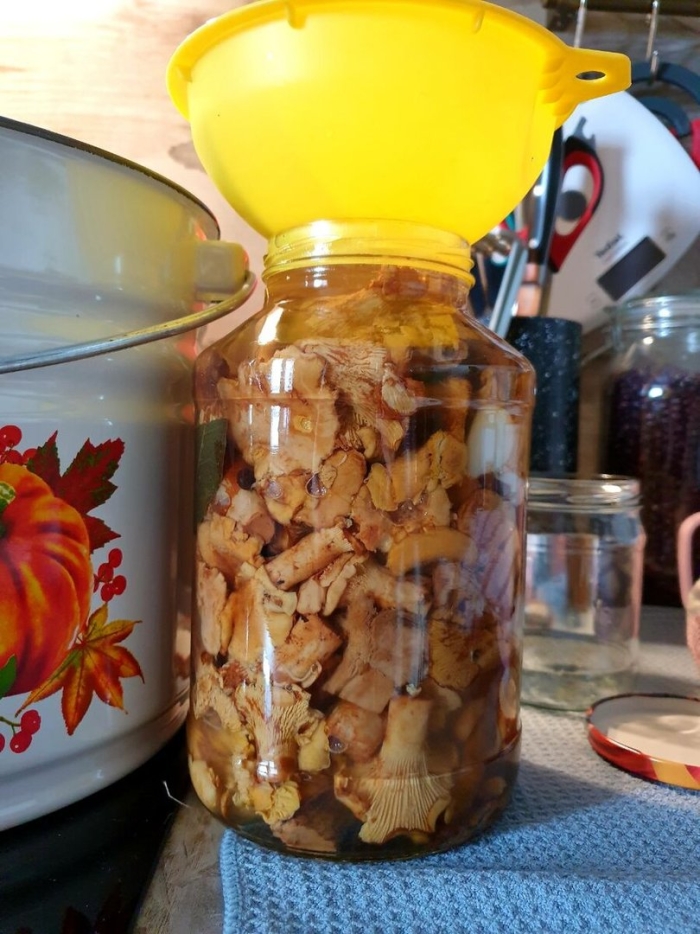 Лисички на зиму рецепты приготовления