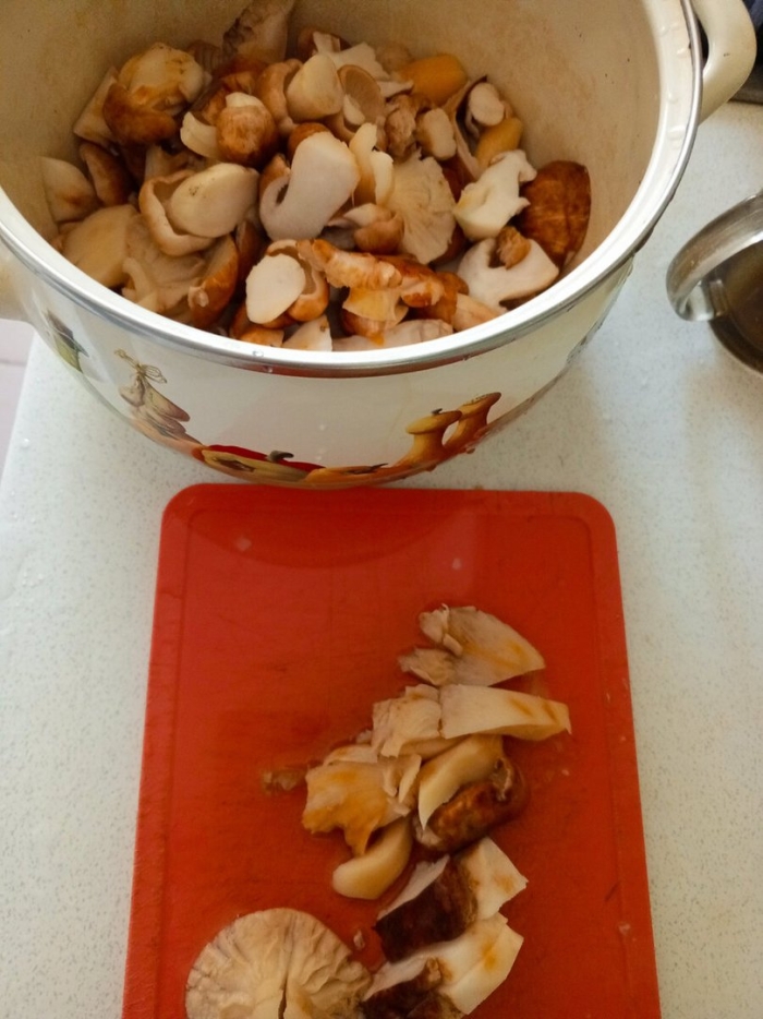 Подтопольник гриб