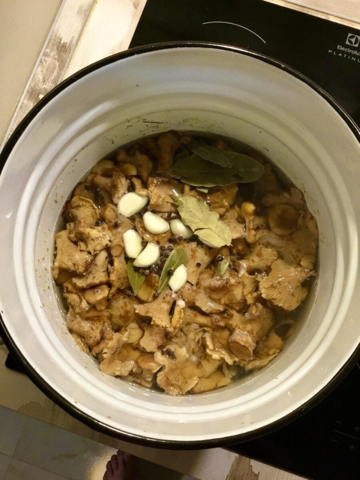 Грибы рецепты