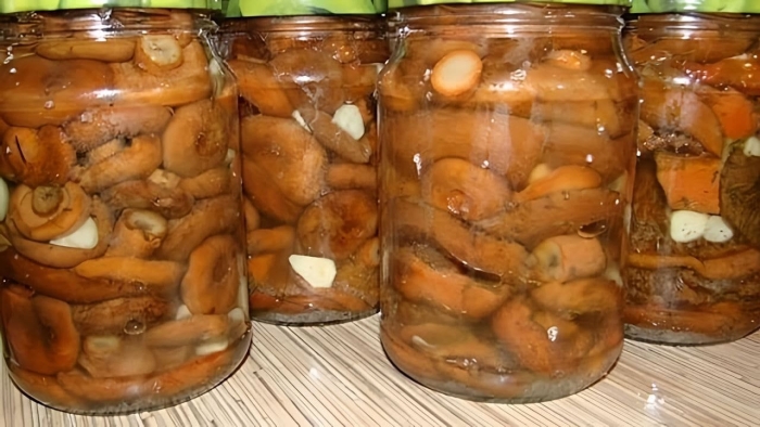 Рыжики соленые холодным способом