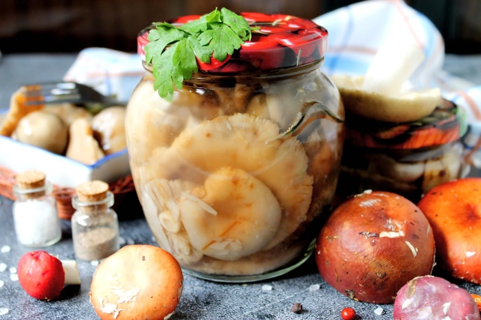 Маринованные белые грибы
