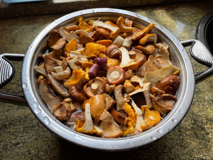 Лисички грибы рецепты