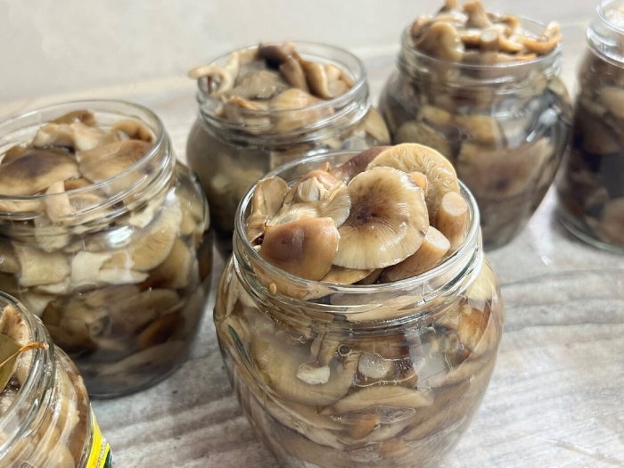 Мариновка уксус опята грибы