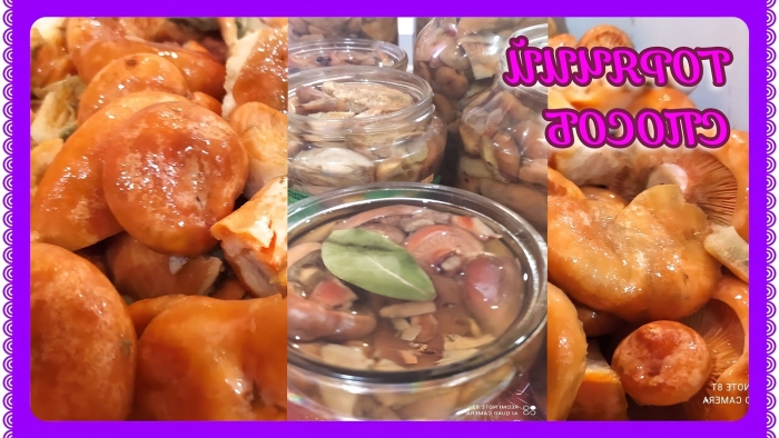 Маринад для грибов маслят на зиму в банках