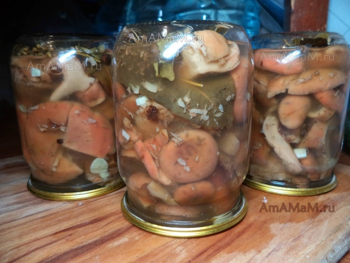 Грибы рыжики в банке