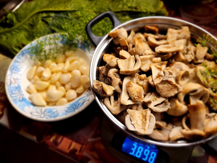 Грибы вешенка маринованные