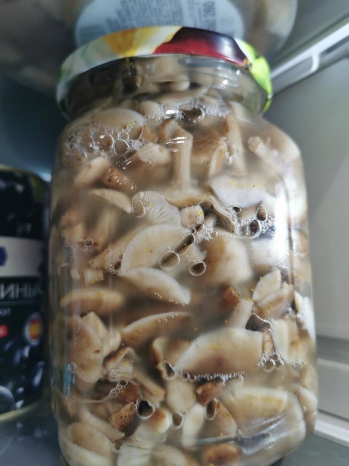 Опята в банке