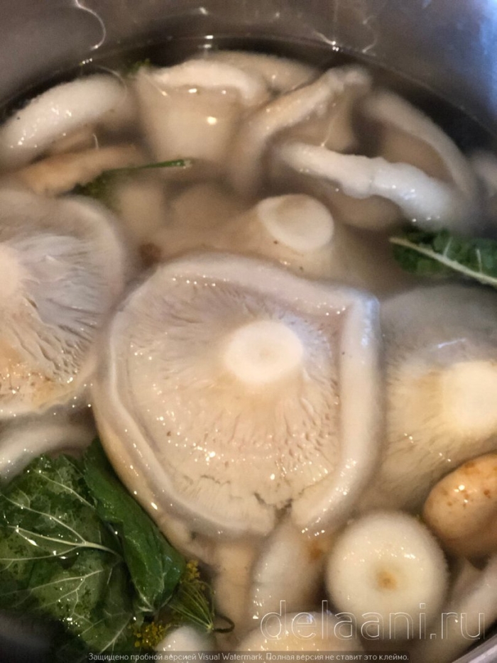 Грузди соленые