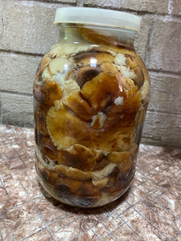 Маринованные грибы