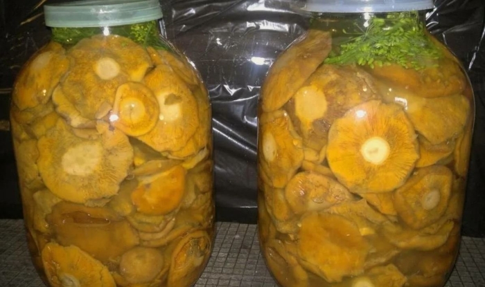 Рыжики соленые