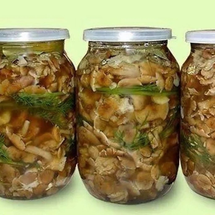 Грибы маринованные в банке