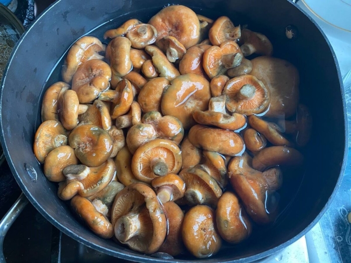 Грибочки соленые