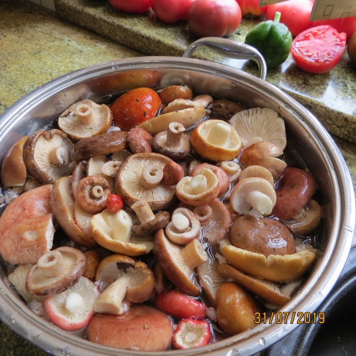 Грибы закатывают в банки