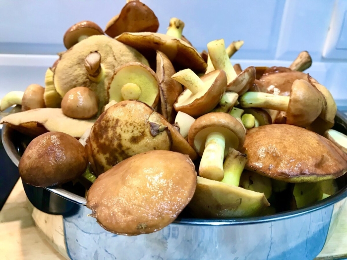 Отварные маслята