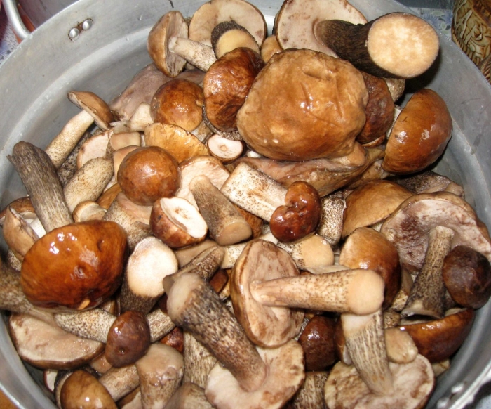 Маринованные грибы подберезовики