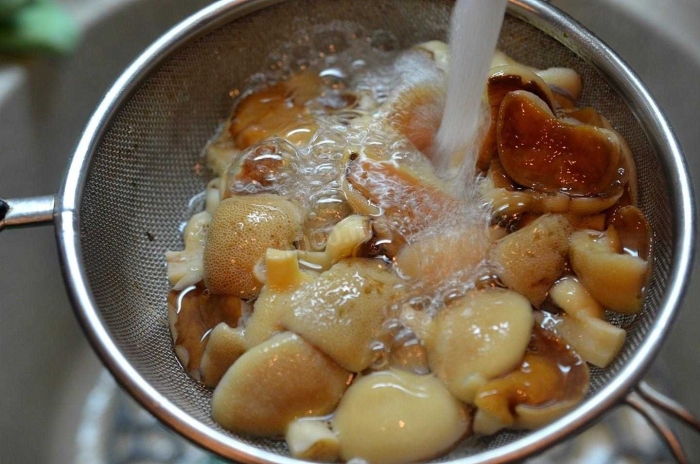 Жареные маслята на зиму