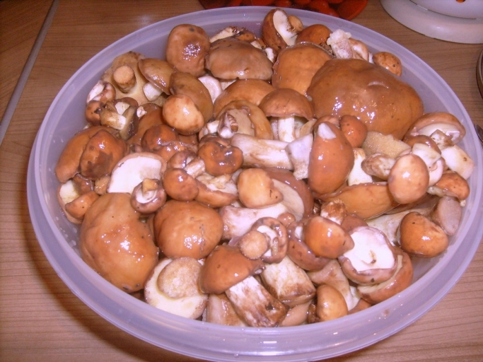 Грибы маслята маринованные