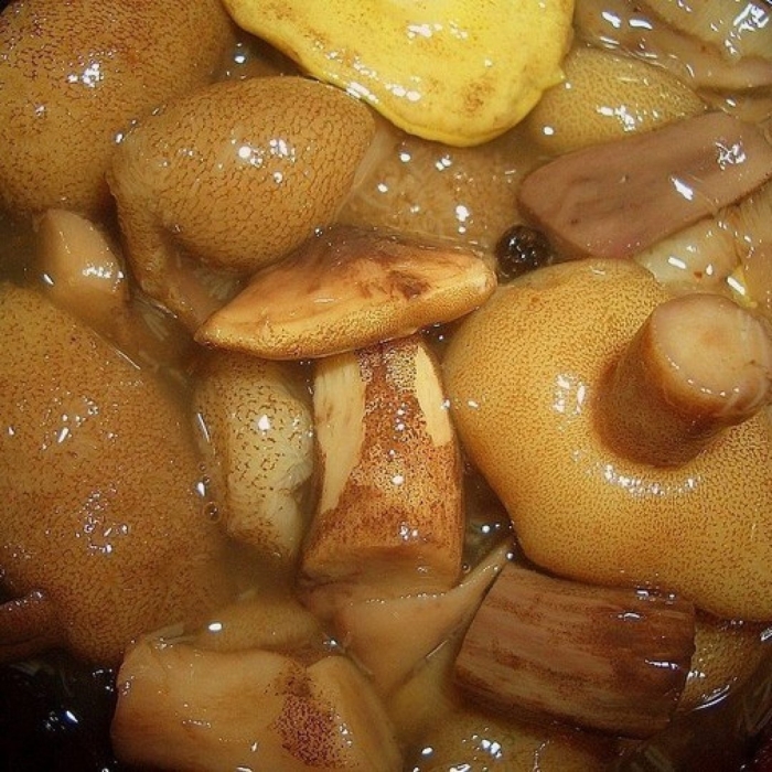 Маслята мариновка