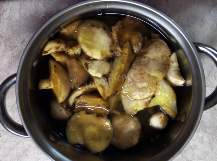 Цвет маслят после варки