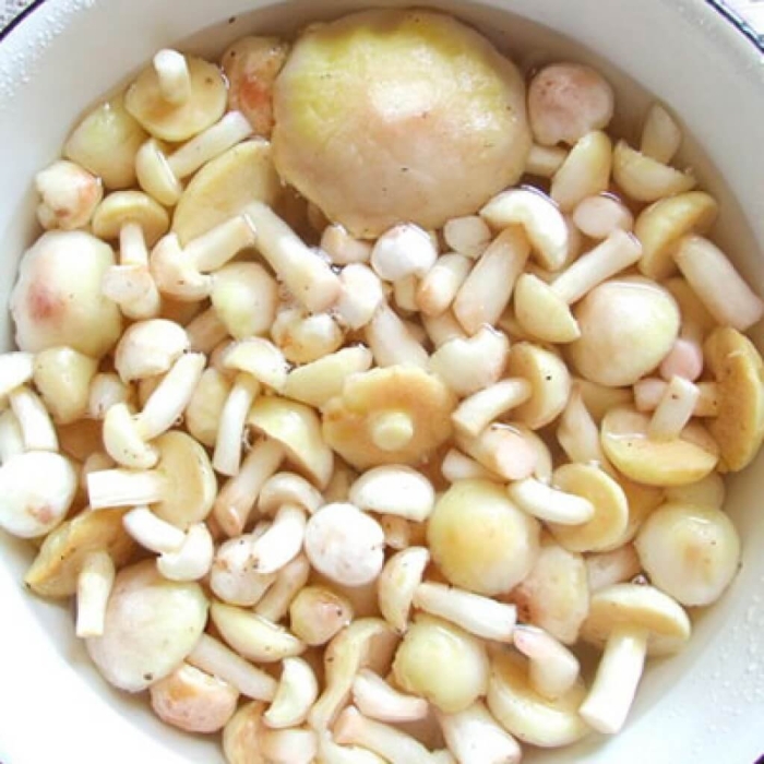 Маслята очищенные