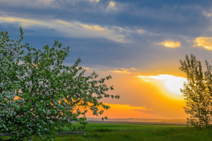 Весенний закат