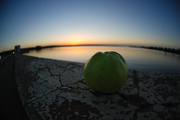 В. сухомлинского «яблоко и рассвет»