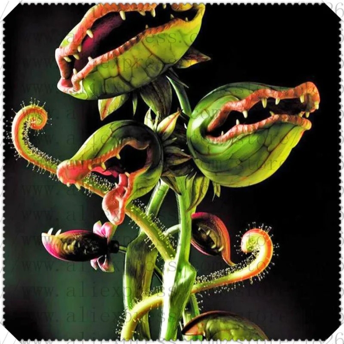 Венерина мухоловка монстр