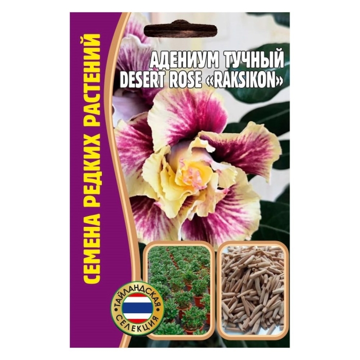 Адениум тучный desert rose raksikon