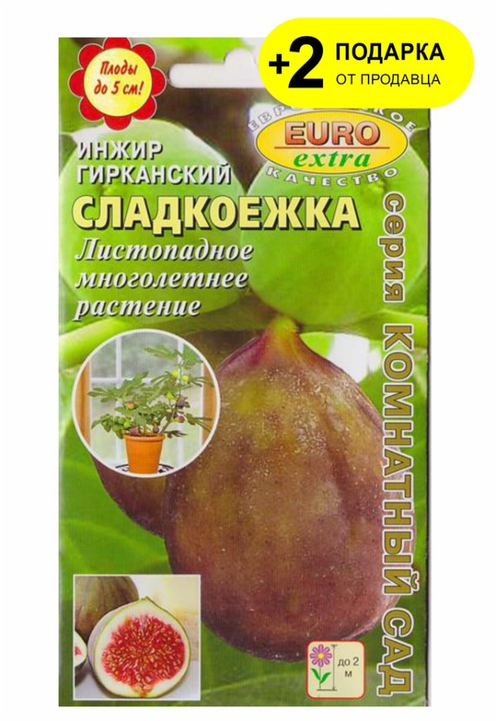 Инжир сладкоежка обыкновенный