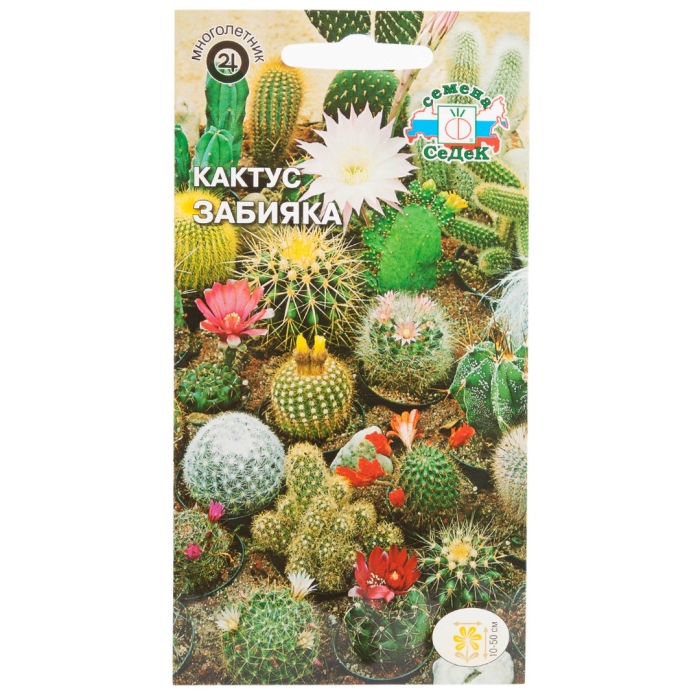 Кактус непоседа гавриш