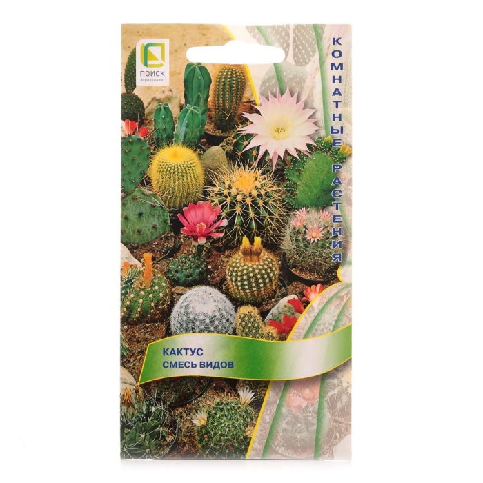 Семена кактус смесь видов
