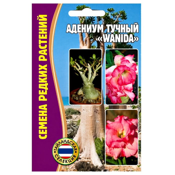 Адениум тучный wanida