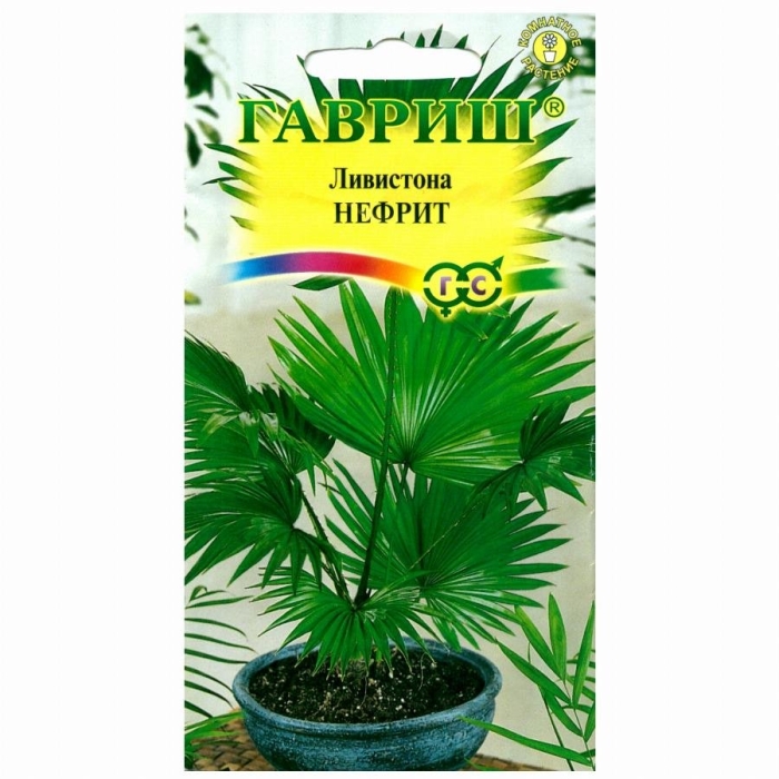 Семена ливистона китайская нефрит