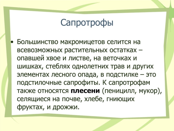 Сапротрофное питание
