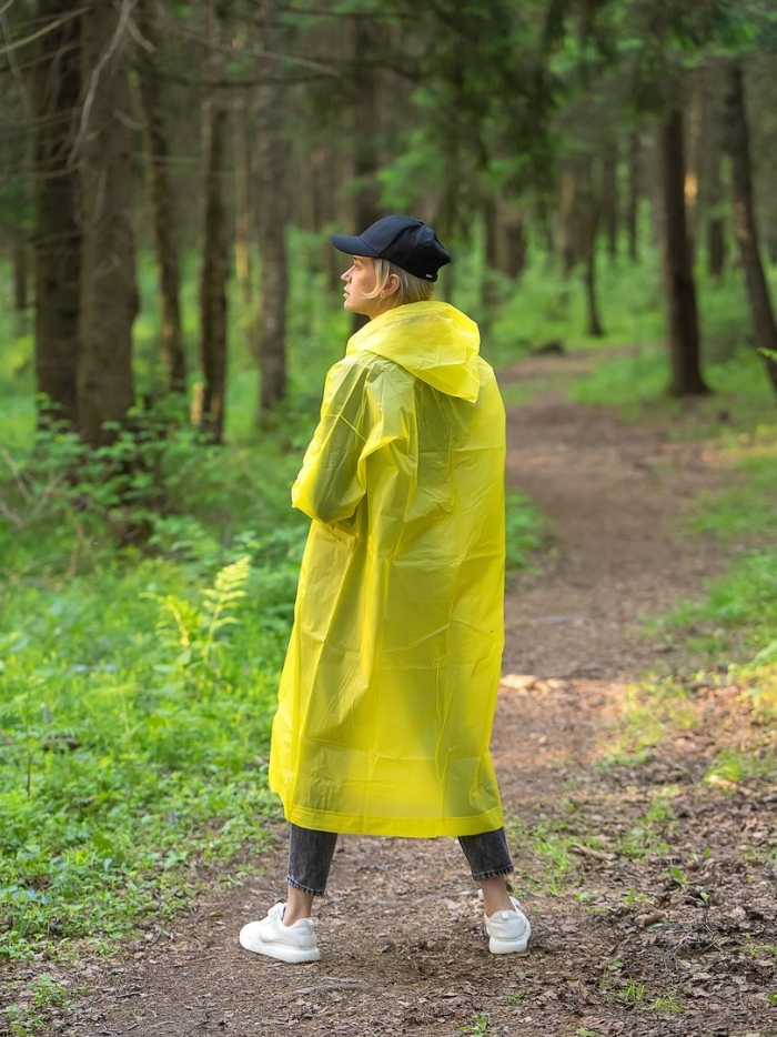 Жёлтый дождевик