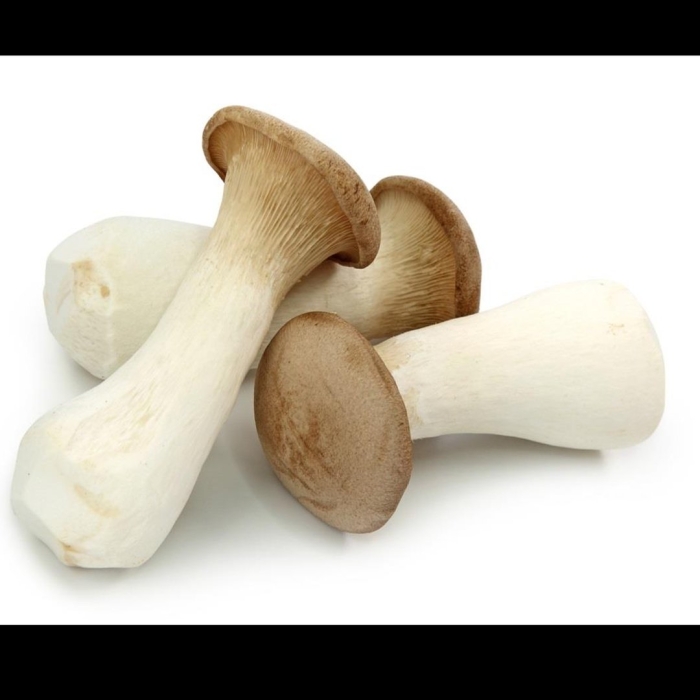 Еринги королевская вешенка