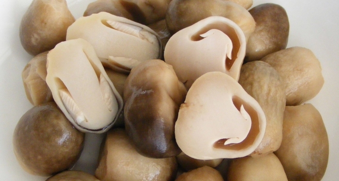 Соломенный гриб цао гу