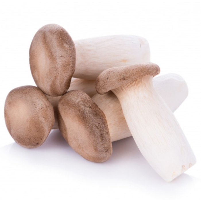 Еринги грибы