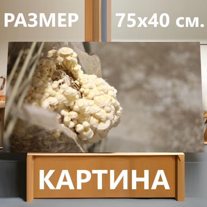 Интерьерная картина