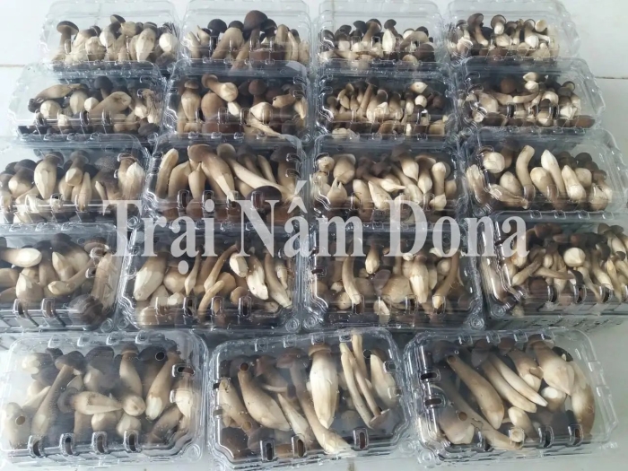 Грибы в упаковке