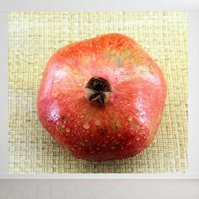 Пепинчик красноярский яблоня