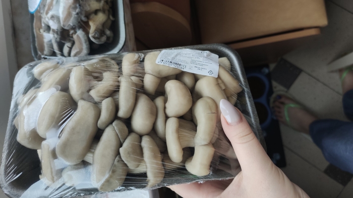 Грибы вешенки 300 г