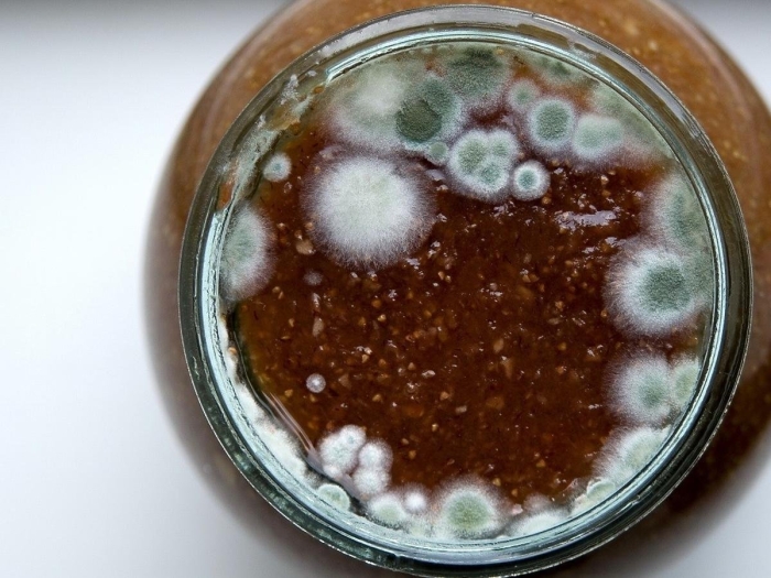 Плесень на варенье