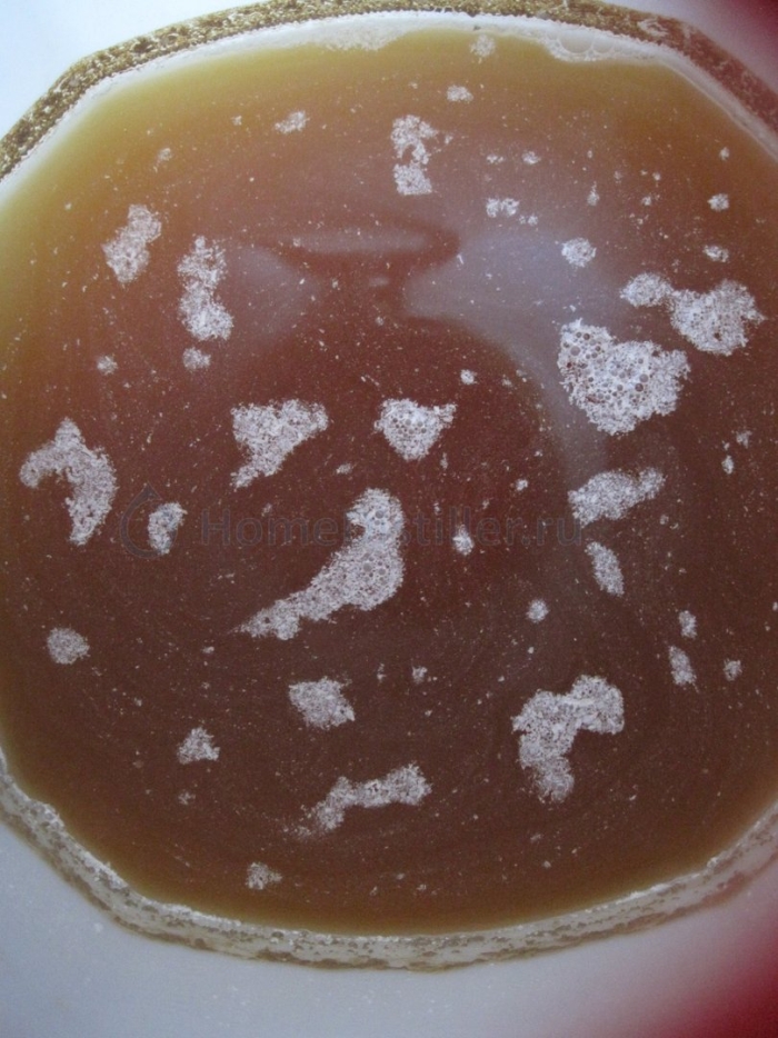 Чайный гриб