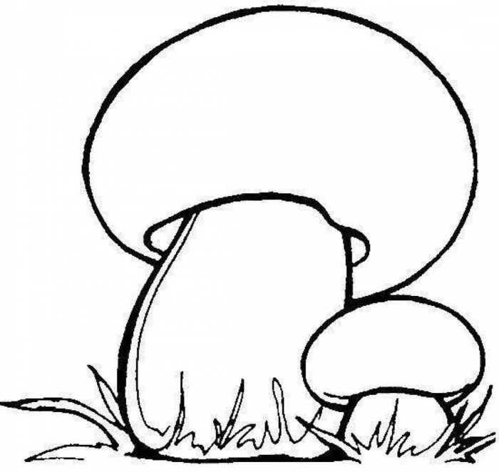 Грибы раскраска для детей