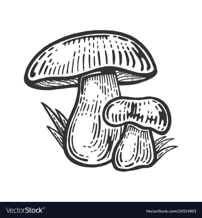 Гриб раскраска для детей