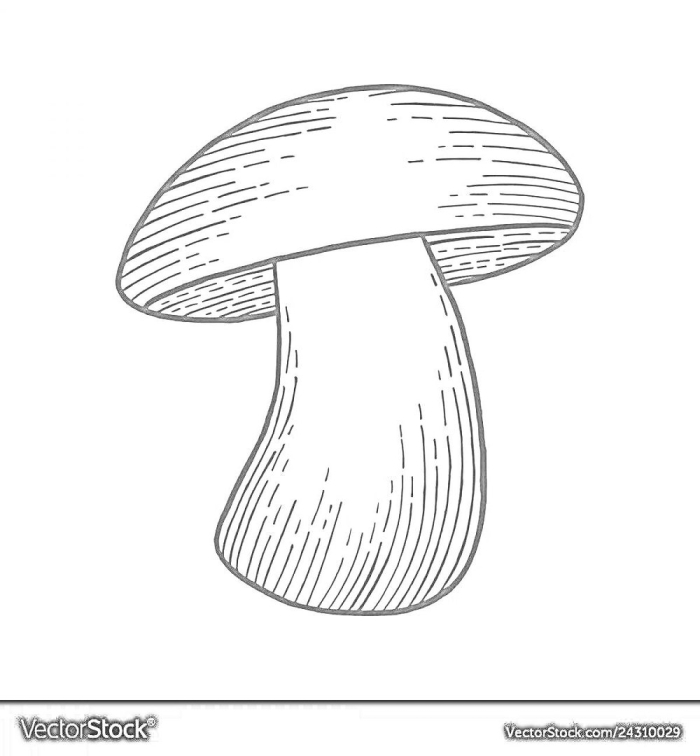 Рисунки гриб