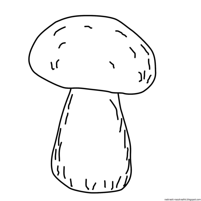 Контур гриба боровика