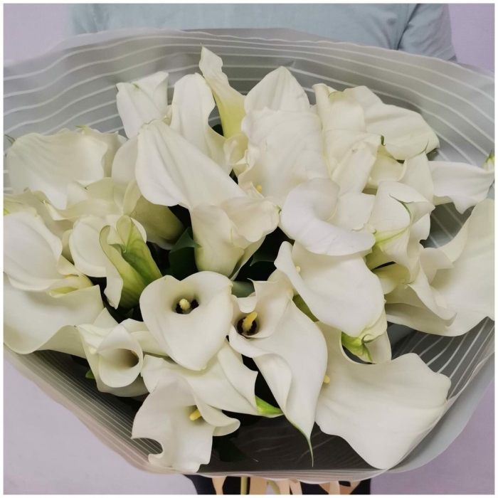 Букет белые каллы