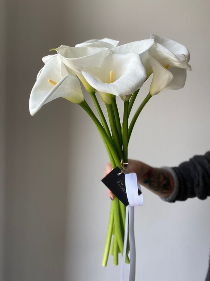 Калла белая